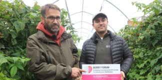 Rekordowy sezon malinowy i trudne decyzje na przyszłość. Paweł Chojnacki o wyzwaniach, które wrócą podczas Berry Forum